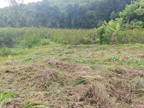 Lote em área de chácaras - plano