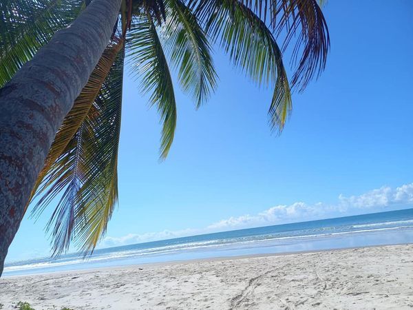 Aluguel Casa Praia Rodovia Ilhéus-Itacaré