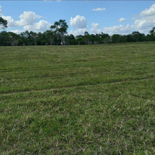 Vendo fazenda medindo 6 alqueiro