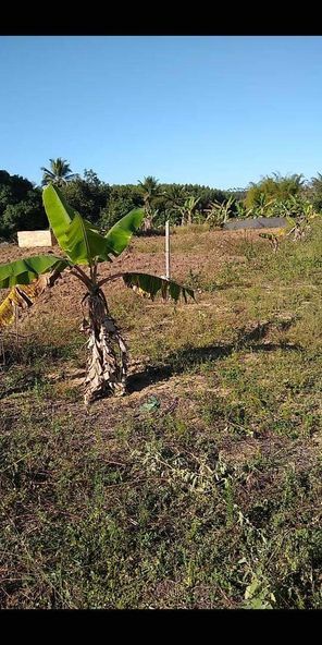 Uma tarefa de terra com uma casa em construção