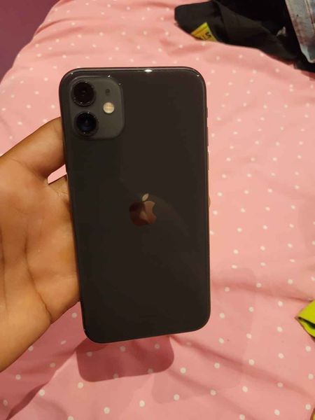 IPhone 11 64 GB Aparelho Perfeito Sem Nenhum Defeito Saúde Da Bateria 81%