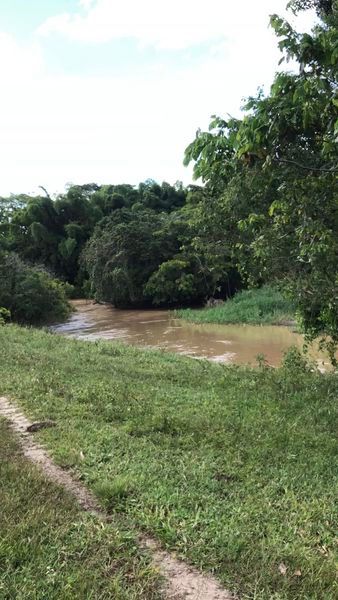 Vendo um Sítio depois do Aeroporto de Teixeira de Freitas na Arara, 5 hectares de terr...