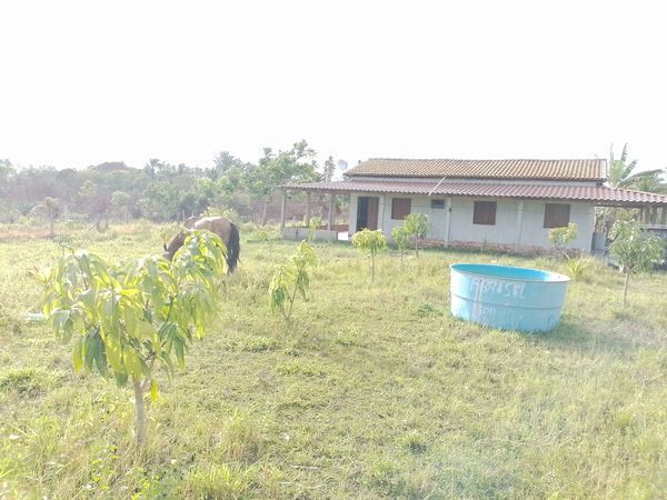 Vendo sitio com 7 mil metros quadrados e diversas árvores frutiferas