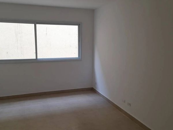 Gatos e Cachorros em Eunápolis