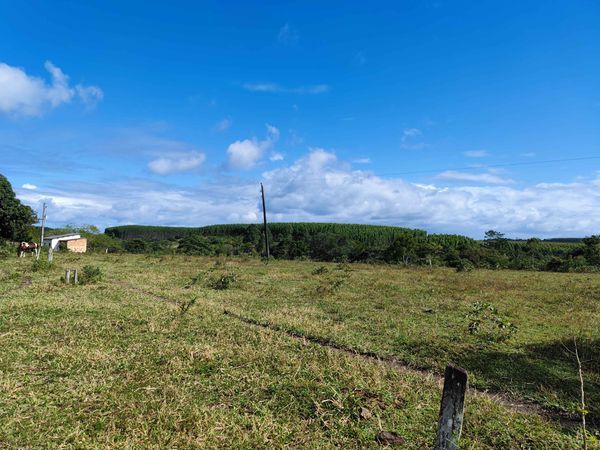 Fazenda para venda, 43 hectares, com água, energia, casa sede, casa vaqueiro