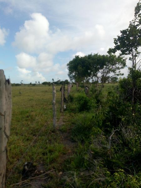 Vende-se
